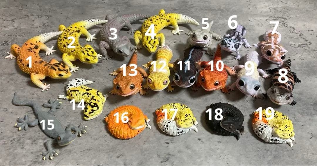 【単品購入⭕️】爬虫類/トカゲ まとめ売り