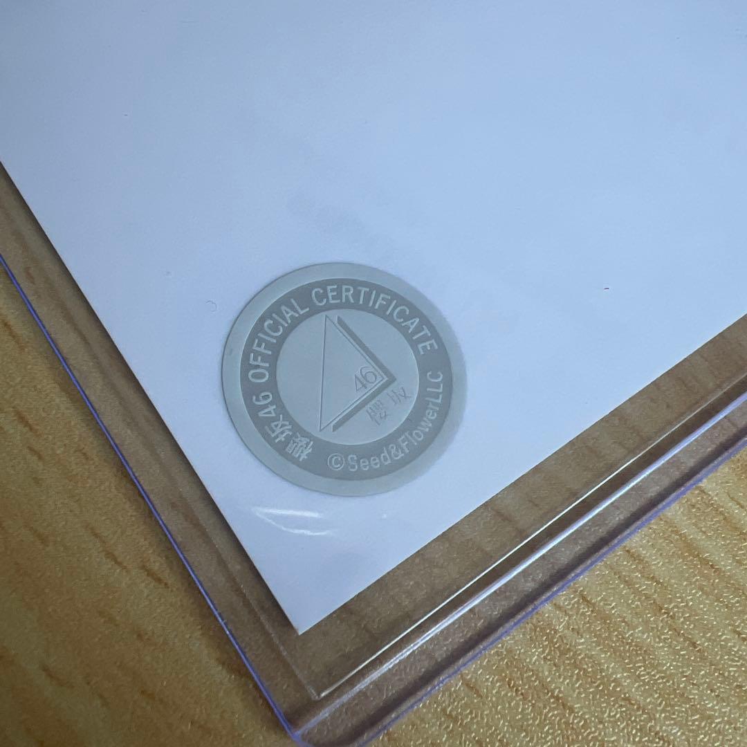 櫻坂46 村山美羽 2024年 クリスマスサンタ衣装 直筆 サイン 生写真