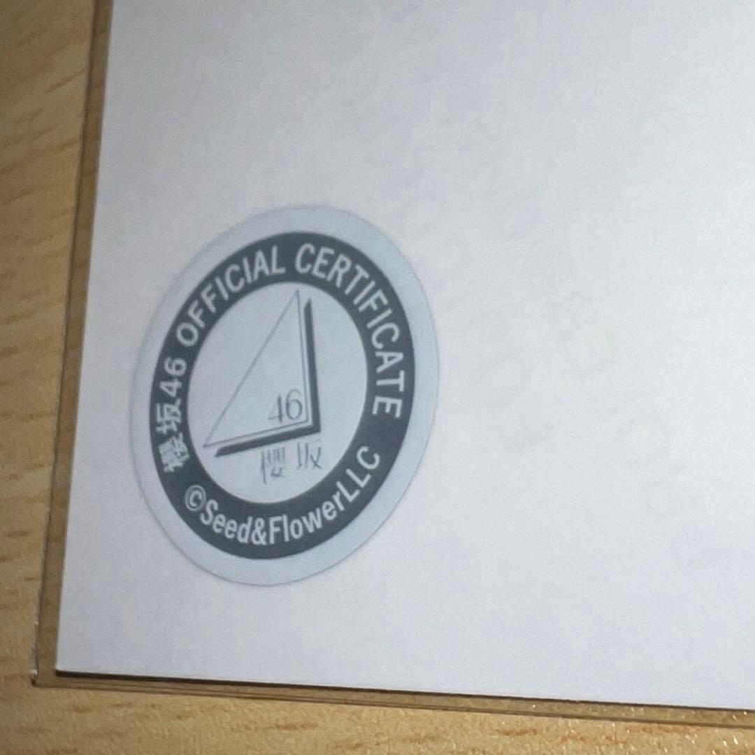 櫻坂46 村山美羽 2024年 クリスマスサンタ衣装 直筆 サイン 生写真