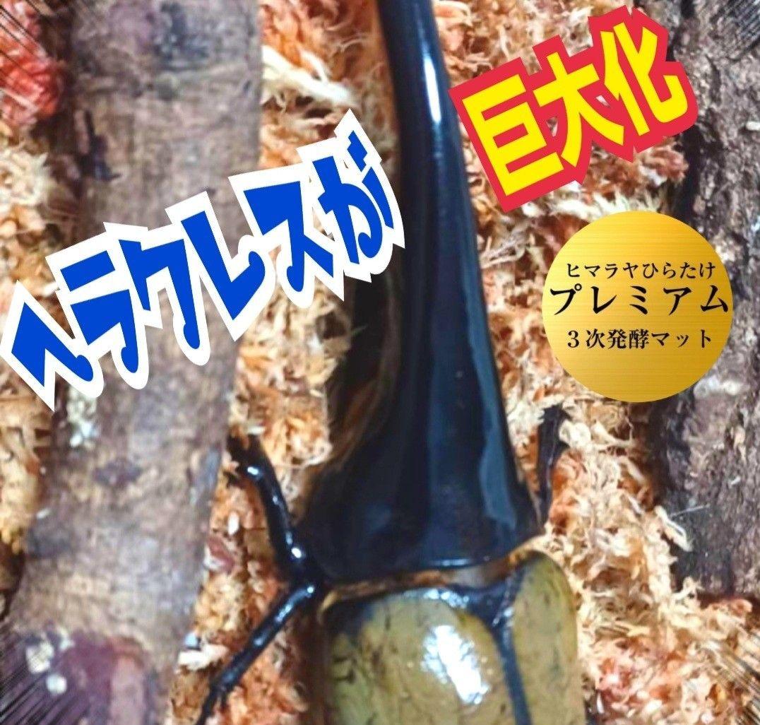 20Lボックス【2セット】プレミアム発酵マット入☆カブトムシ幼虫を入れるだけ！