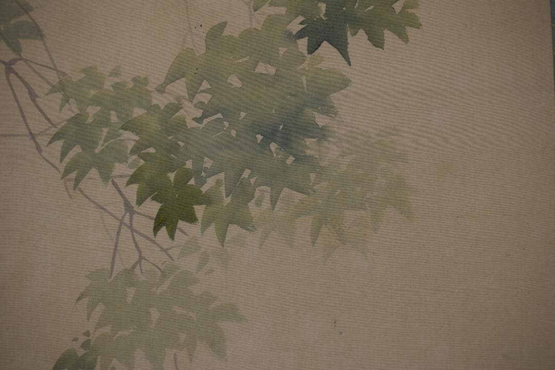 【真作】若林松渓/松渓谷/鮎之図/楓枝登鮎図/掛軸☆宝船☆Z-117