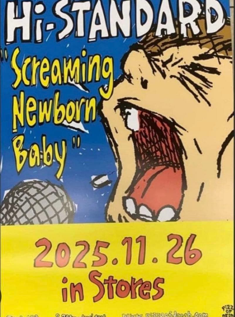 Hi-STANDARD ハイスタ ポスター 2枚 新潟 限定 販促 宣伝 セット