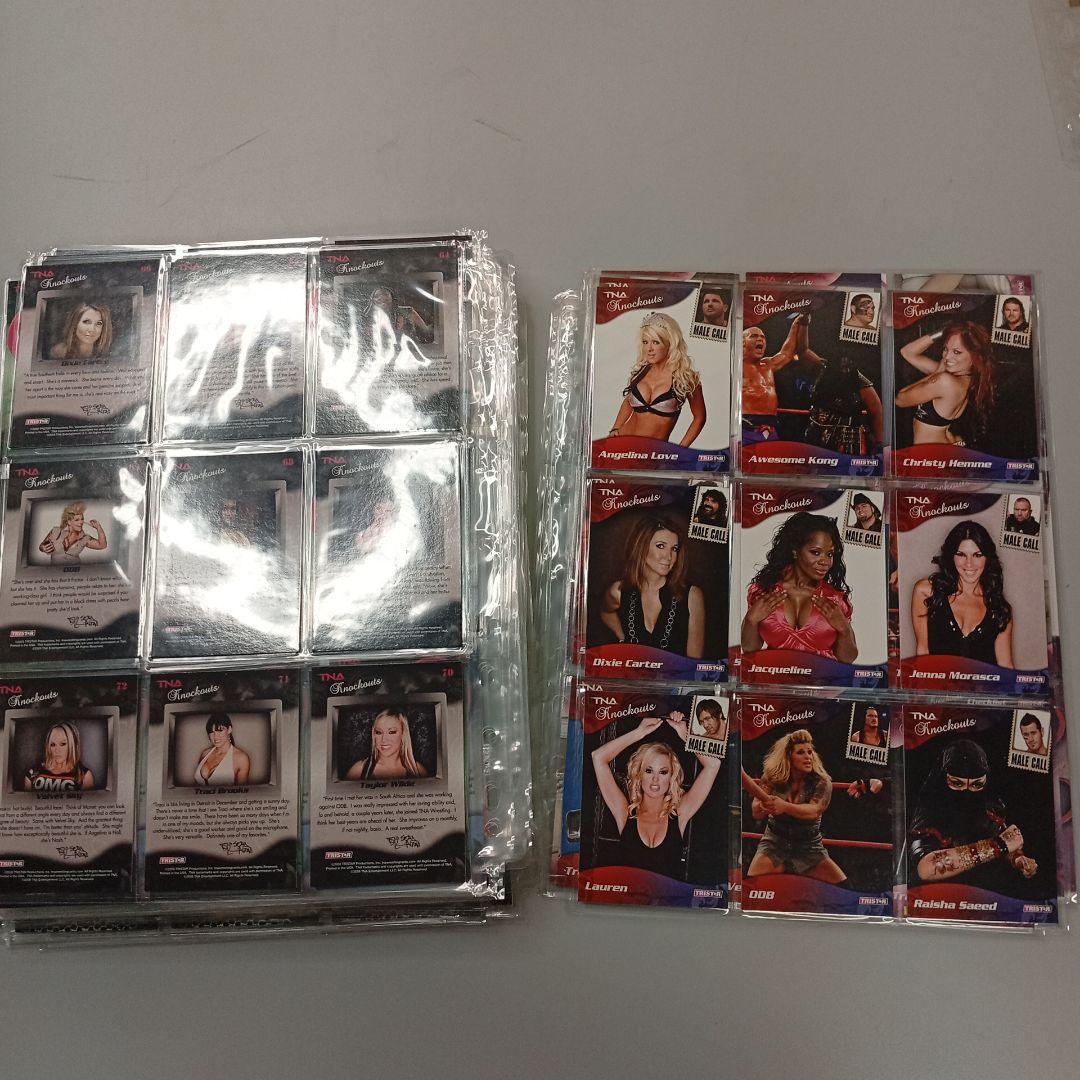 TNAトレーディングカードセット約300枚！