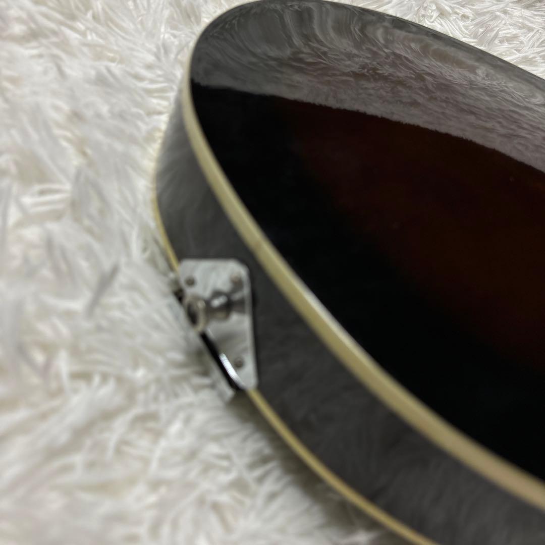 ibanez アイバニーズ マンドリン M510DVS 海外インポート ケース付