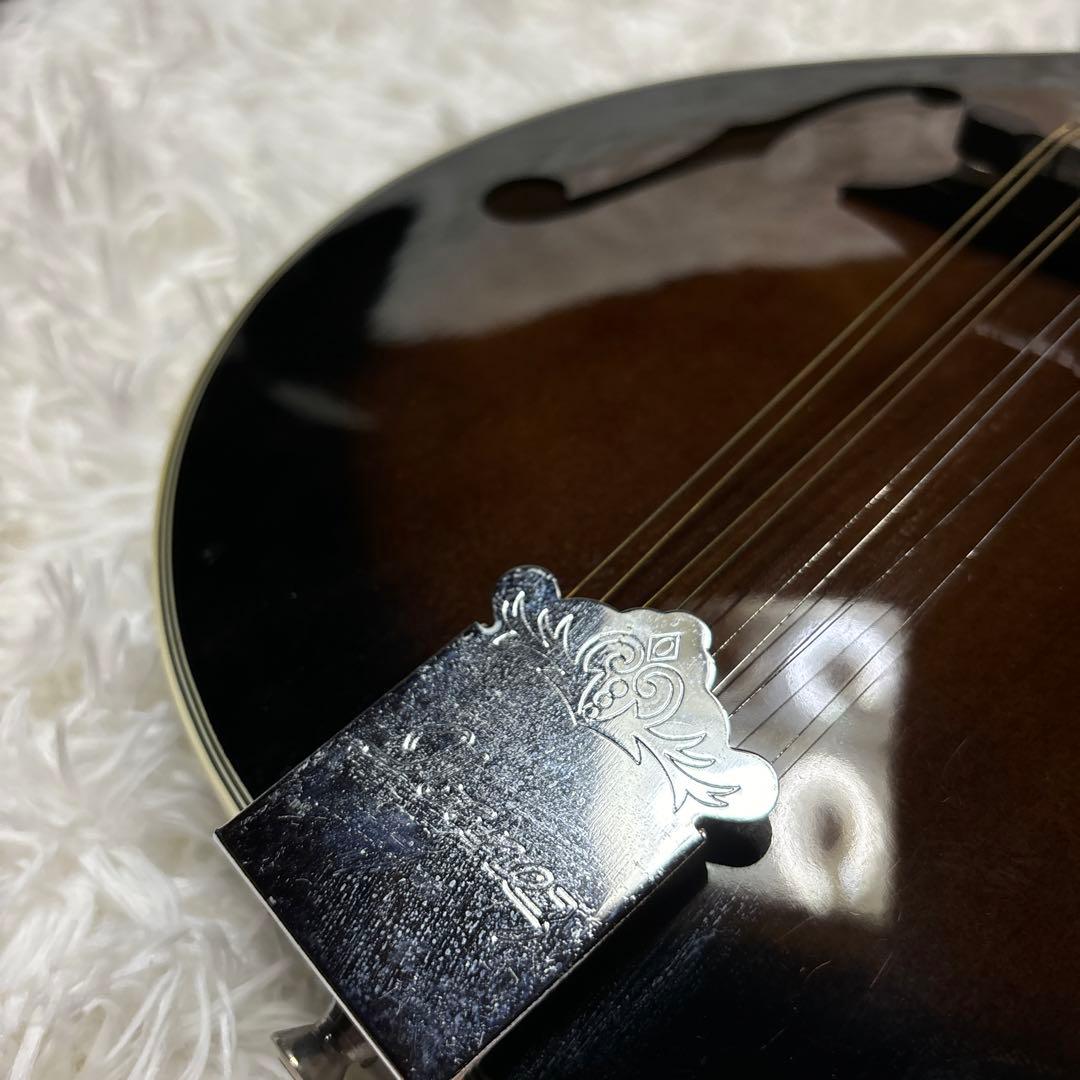 ibanez アイバニーズ マンドリン M510DVS 海外インポート ケース付