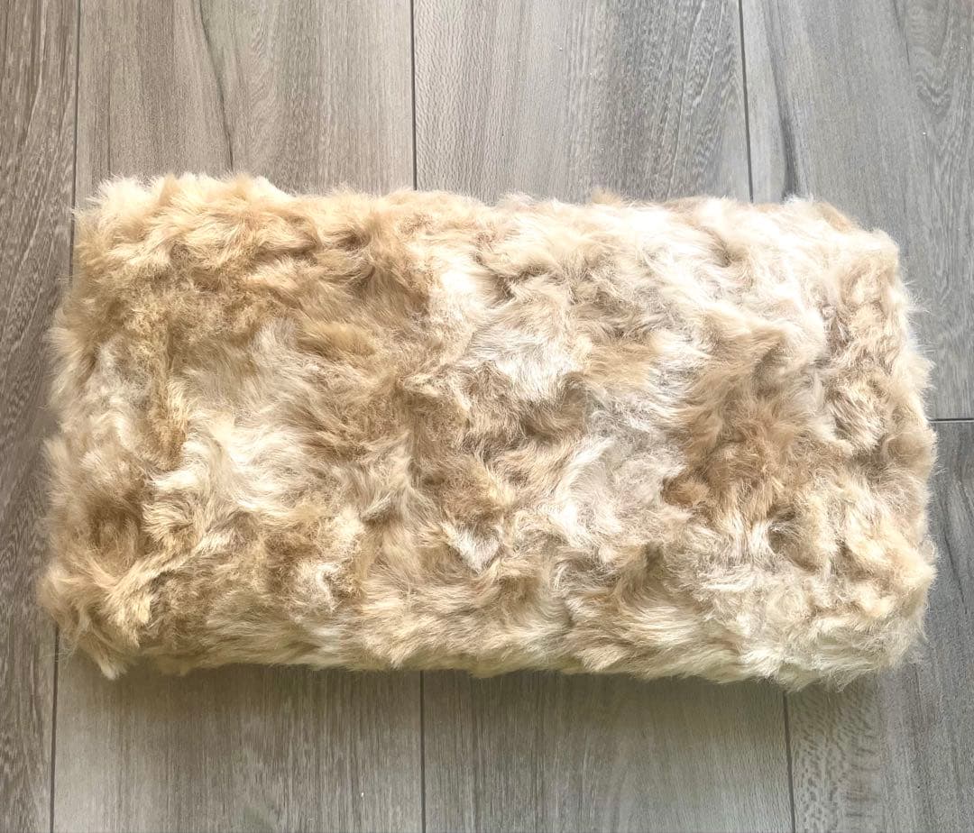 希少 ForPetsOnly キャリーバッグ イタリア直 シャンパンブラウン