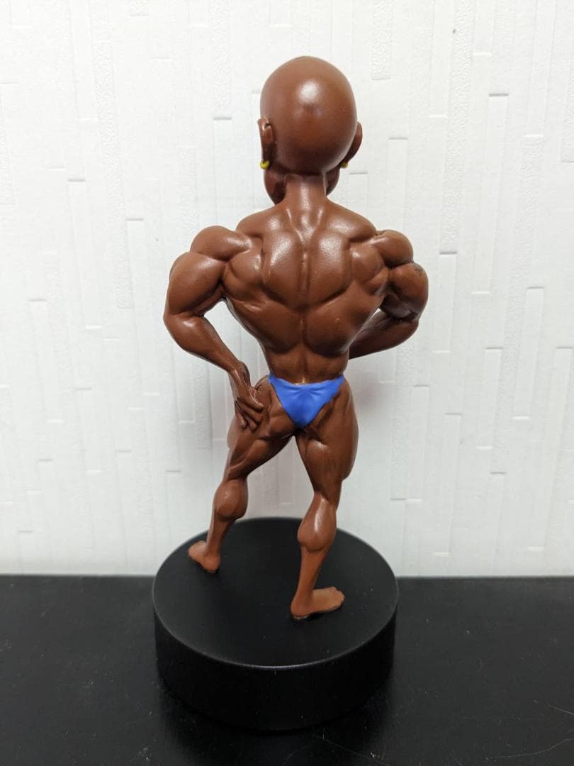 iron dolls ショーン・レイ フィギュア マッチョフィギュア