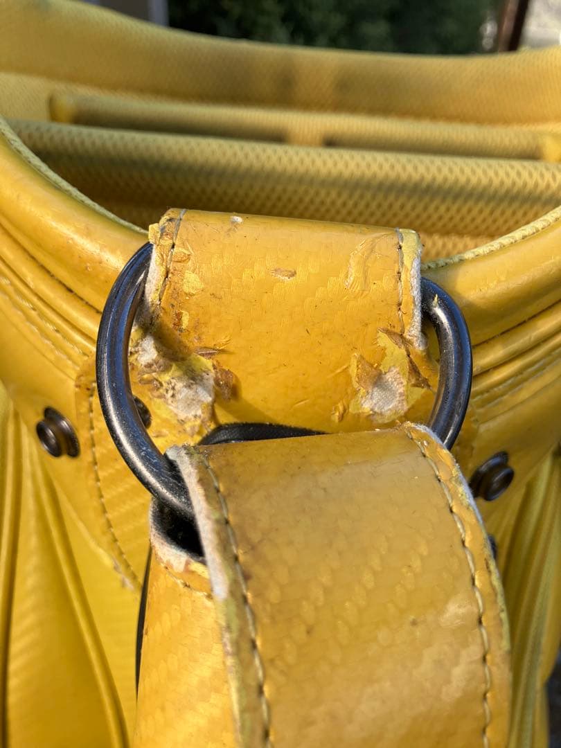 ミズノ　キャディーバッグ