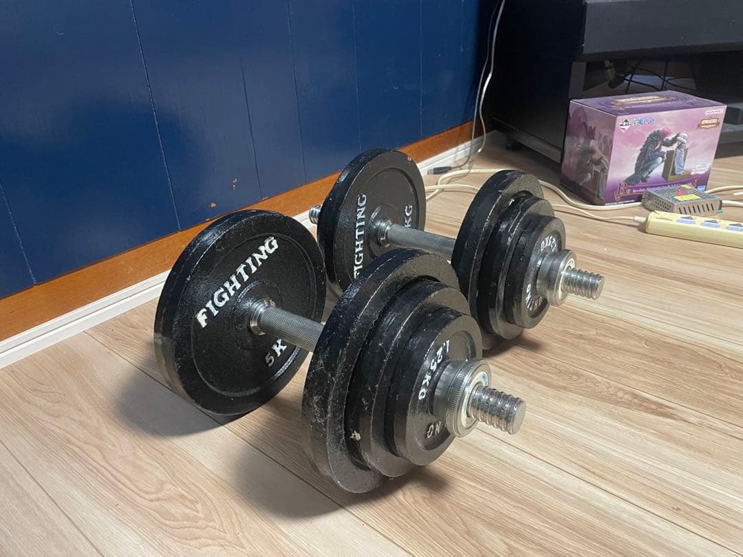 ダンベル　鉄製　筋トレ
