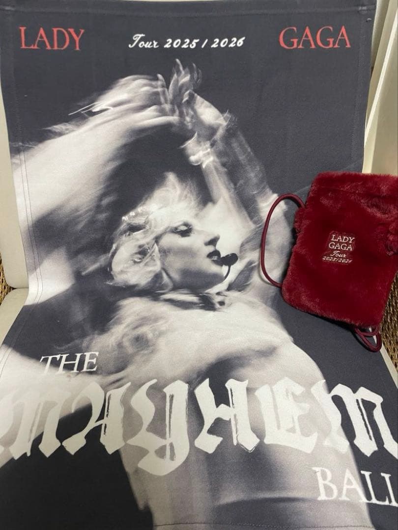 Lady Gaga VIP GOLD グッズ　セット