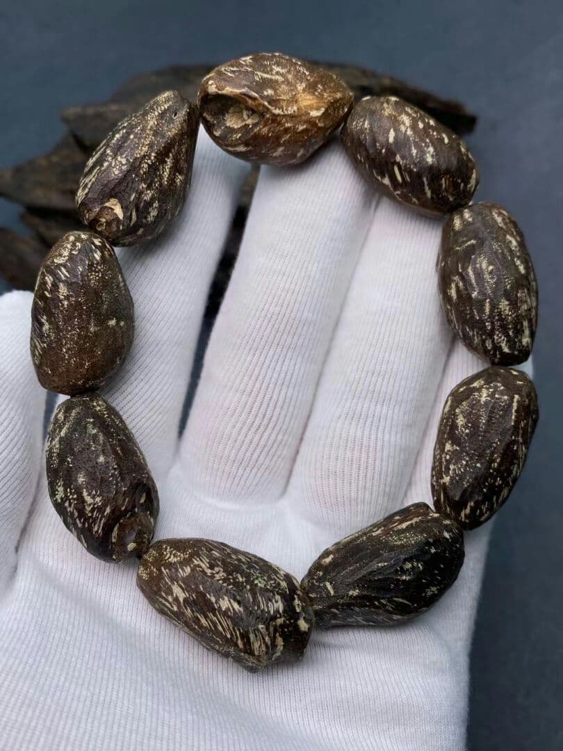 ダラガン天然野生むし虫ろー漏沉香 ゆし油脂がほーふ豊富である いいにおい匂いだ