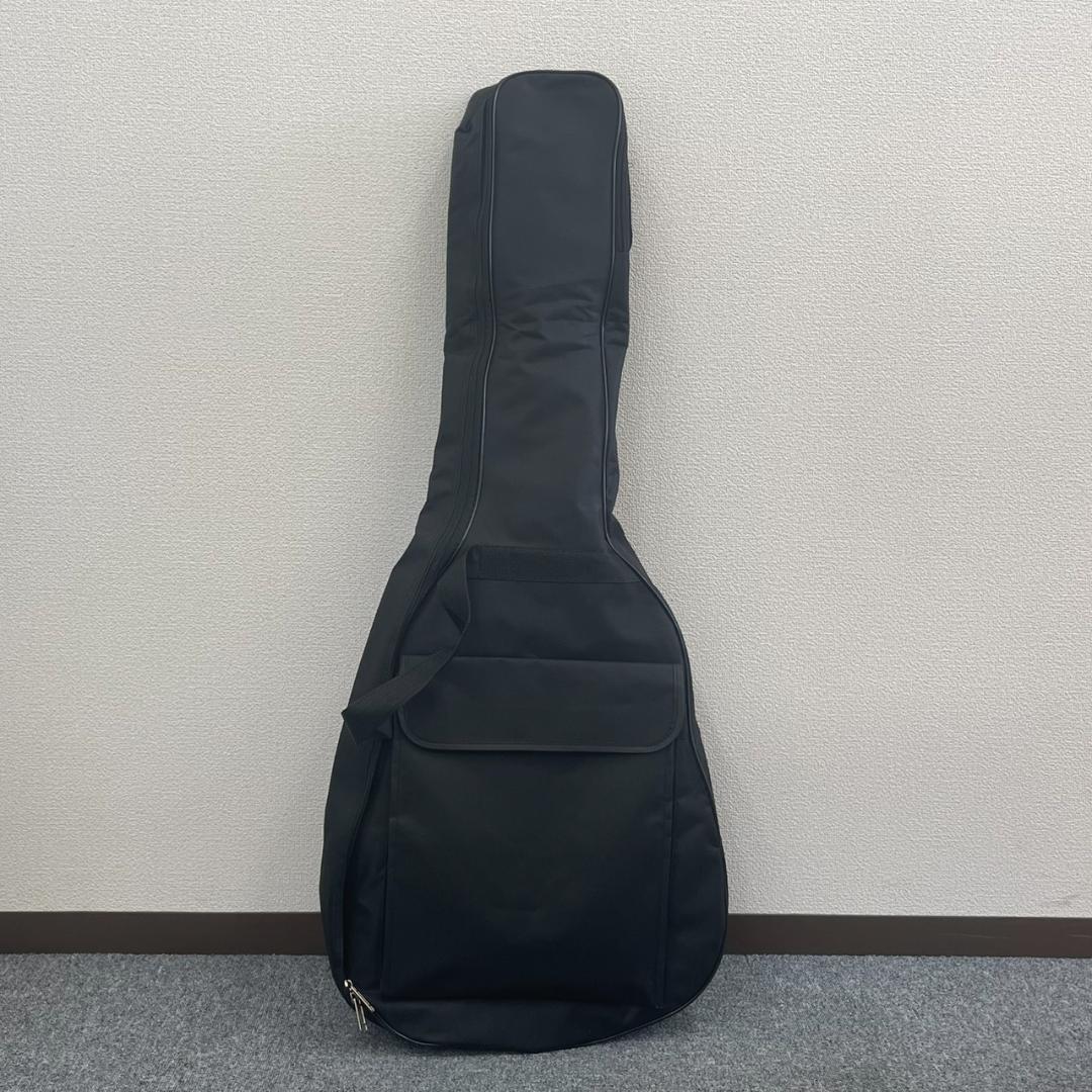 【セミアコ】IRIN アイリーン ホロウFホール22フレット トレモロアーム機能