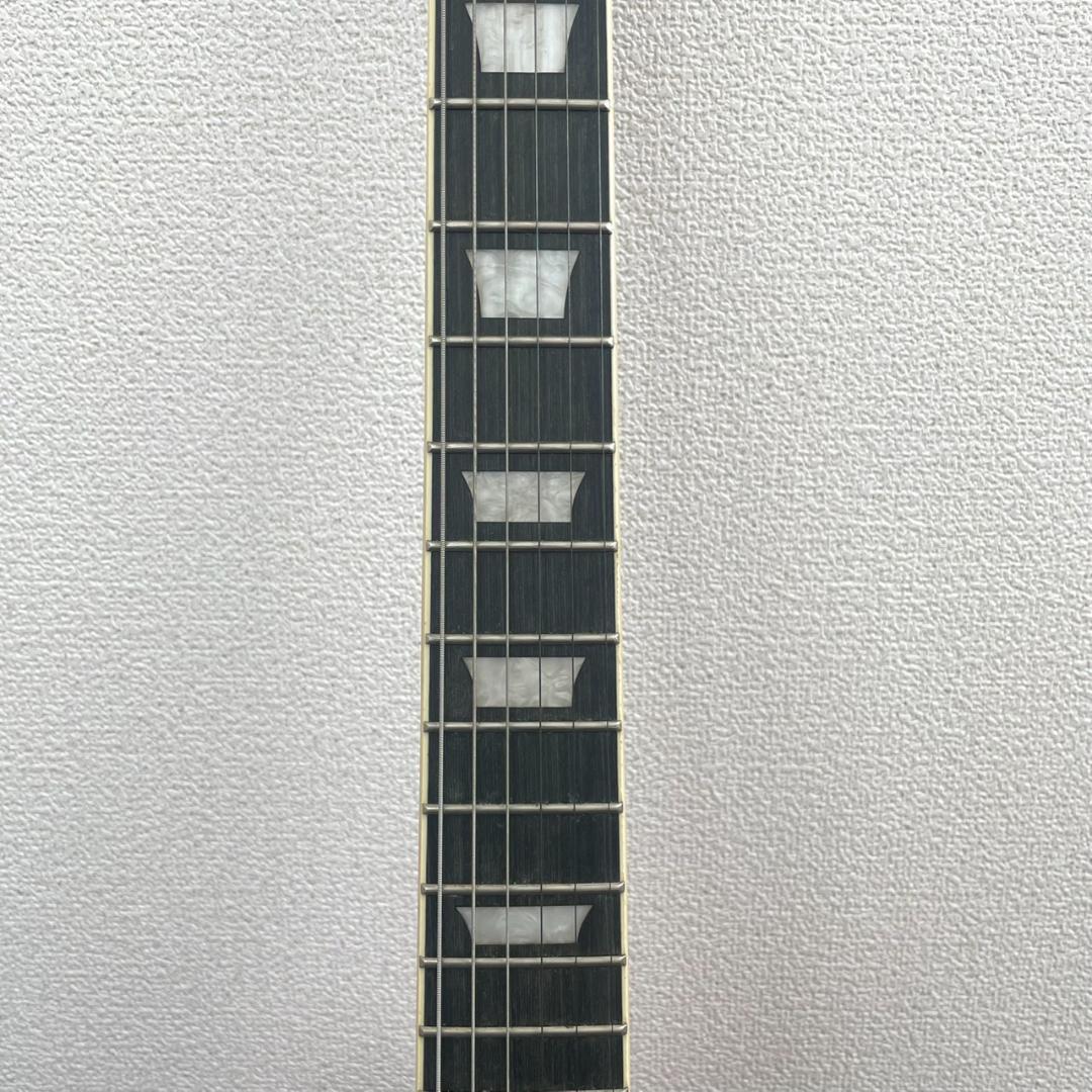 【セミアコ】IRIN アイリーン ホロウFホール22フレット トレモロアーム機能