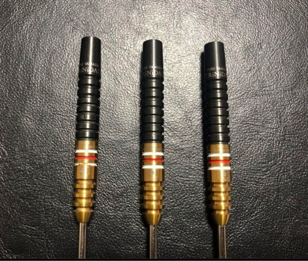 激レア トリニダード ゴメス12 山田勇樹 PDC WC限定モデル スティール