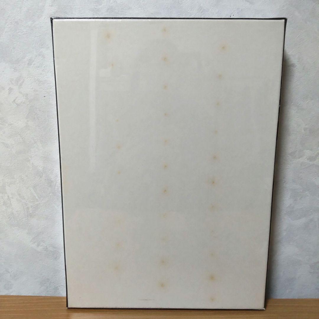 ジグソーパズル　ジョアン・フック　オーストラリア　ザ・バリアリーフ　７５０ピース