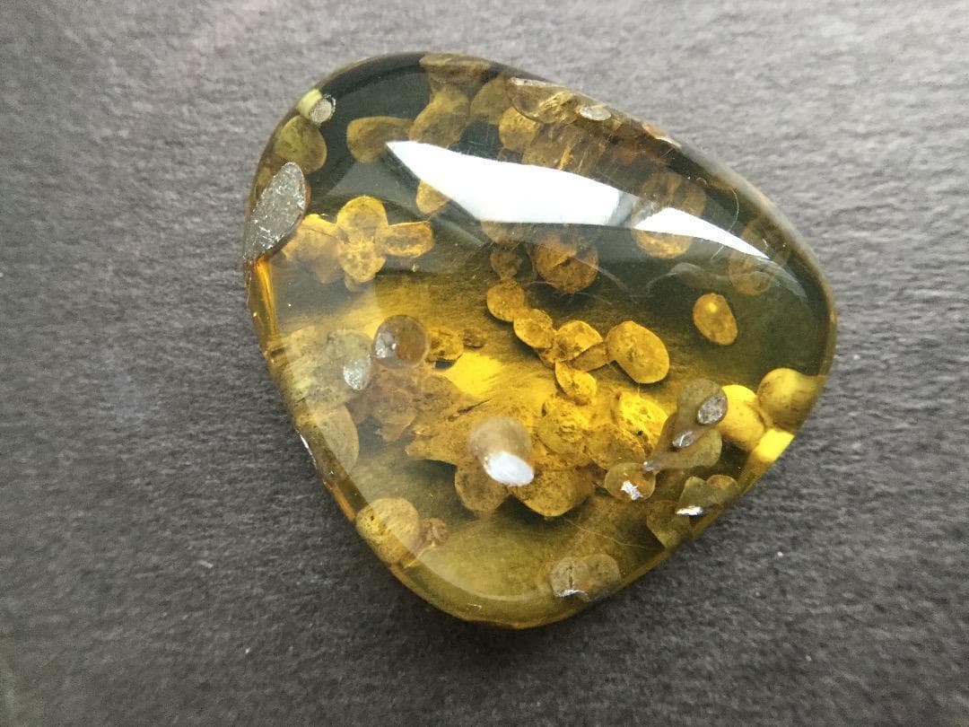 きのこの化石入りバーマイト　ミャンマー琥珀