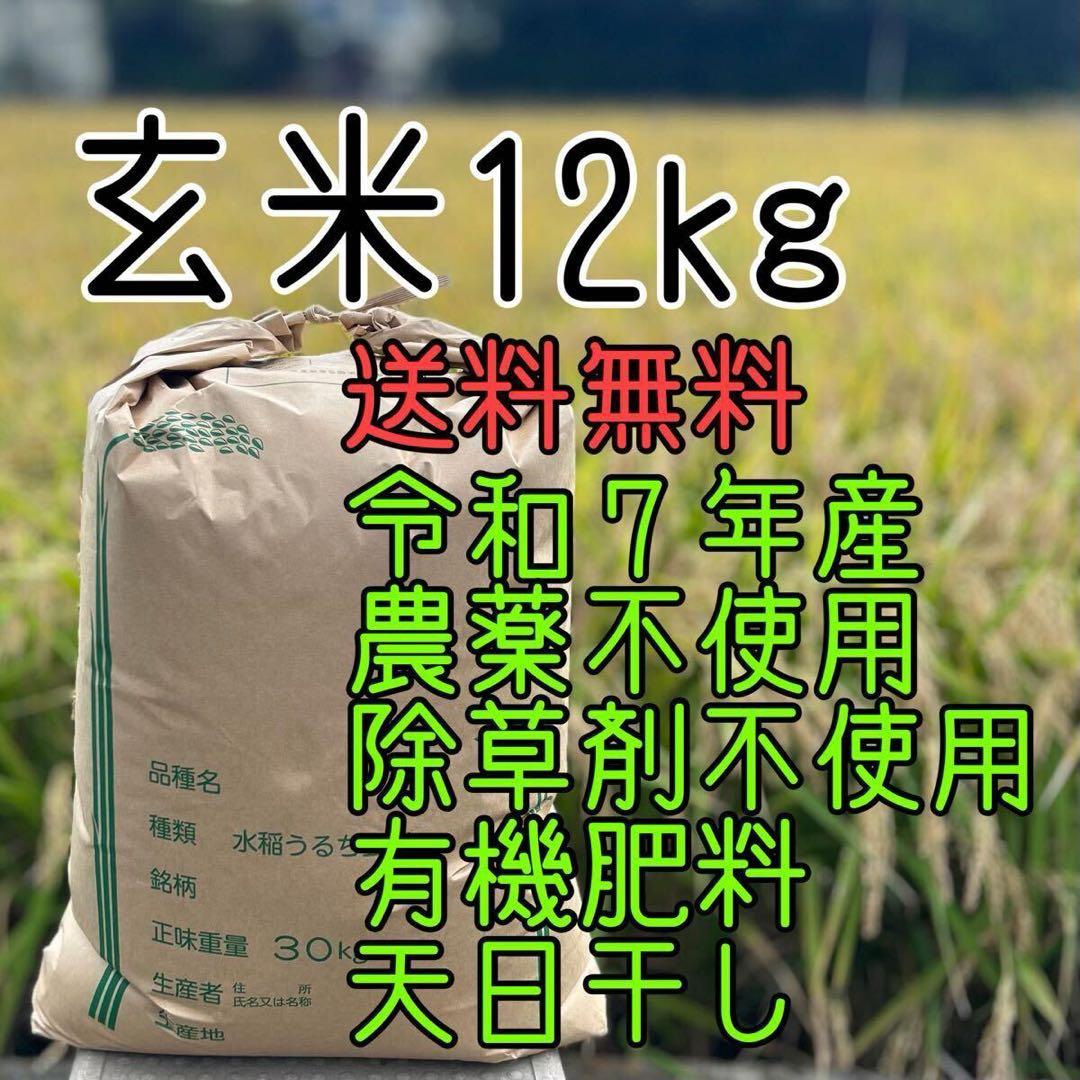 【送料無料】農家直送 玄米12㎏ 農薬不使用 有機栽培 天日干し お米 静岡より