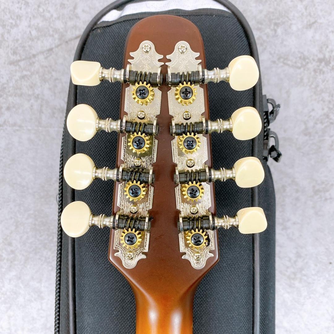 弦楽器 Seagull / S8 Mandolin Sunburst EQ