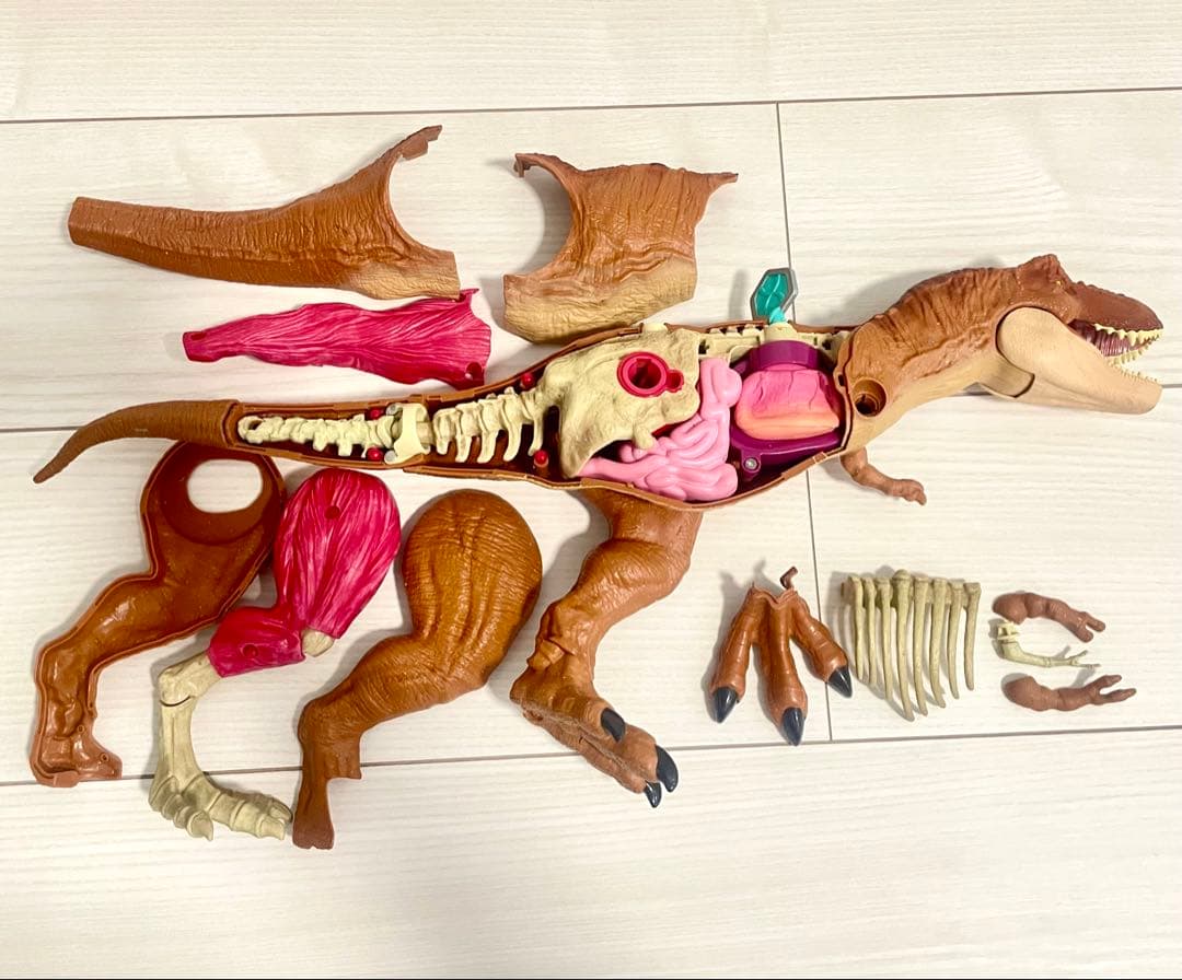 ジュラシックワールド ティラノサウルスレックス アナトミーキット (解剖モデル)