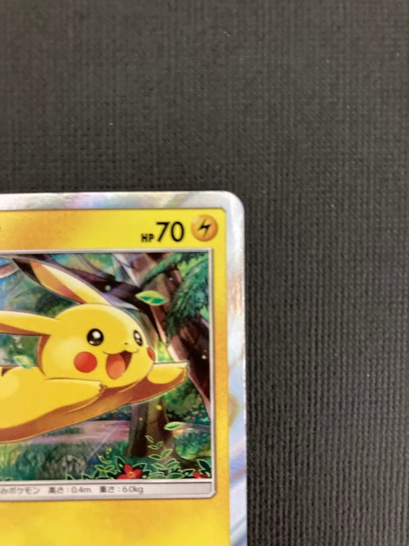 ピカチュウ SM0 ピカチュウと新しい仲間たち 004/004