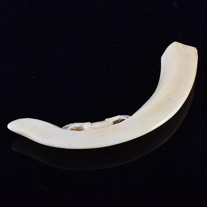 時代提げ物　獣骨　根付　石見根付　蟹文根付　M　8659