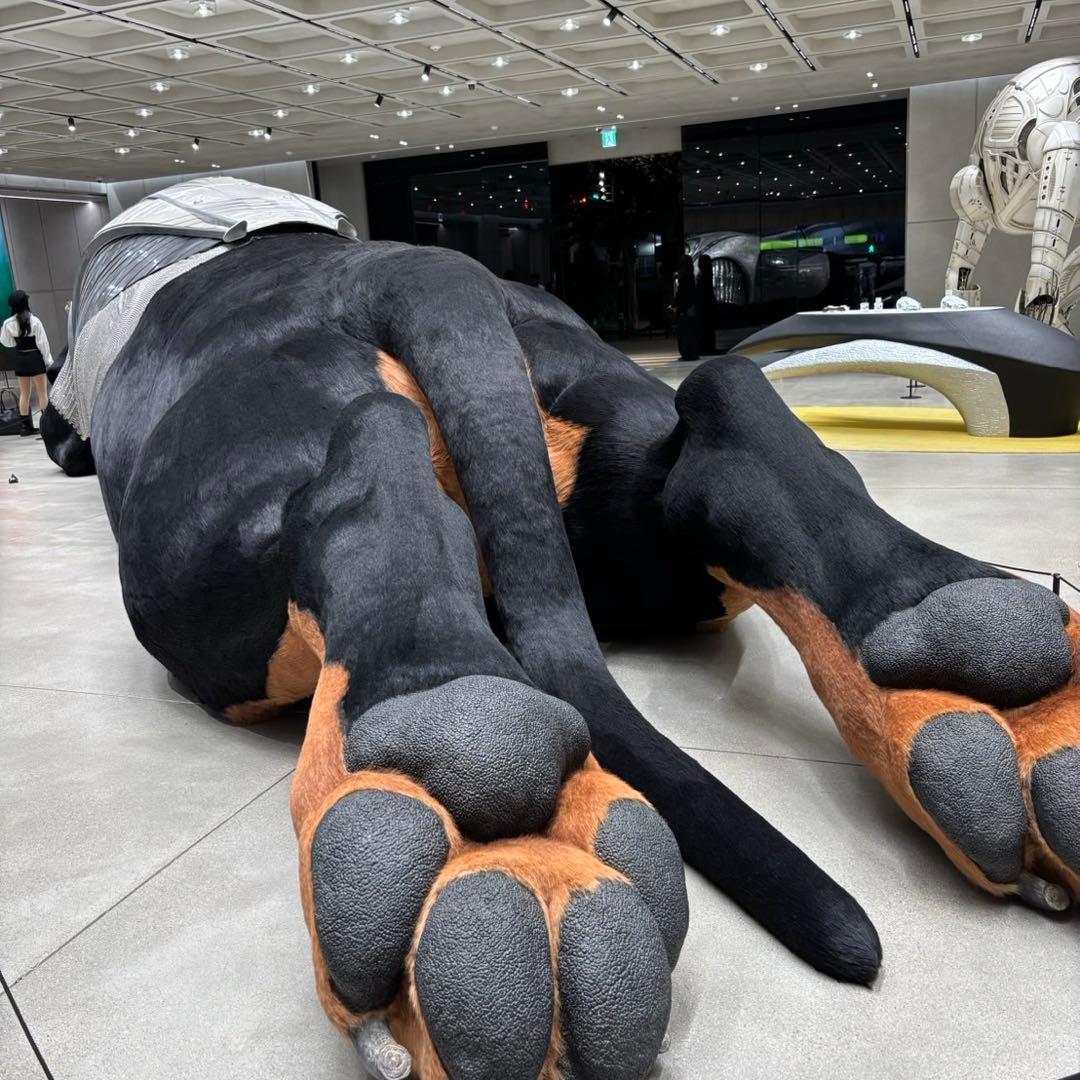 【韓国限定】NUDAKE（ヌデイク）　ROOI 紅茶（ルイボスティー）