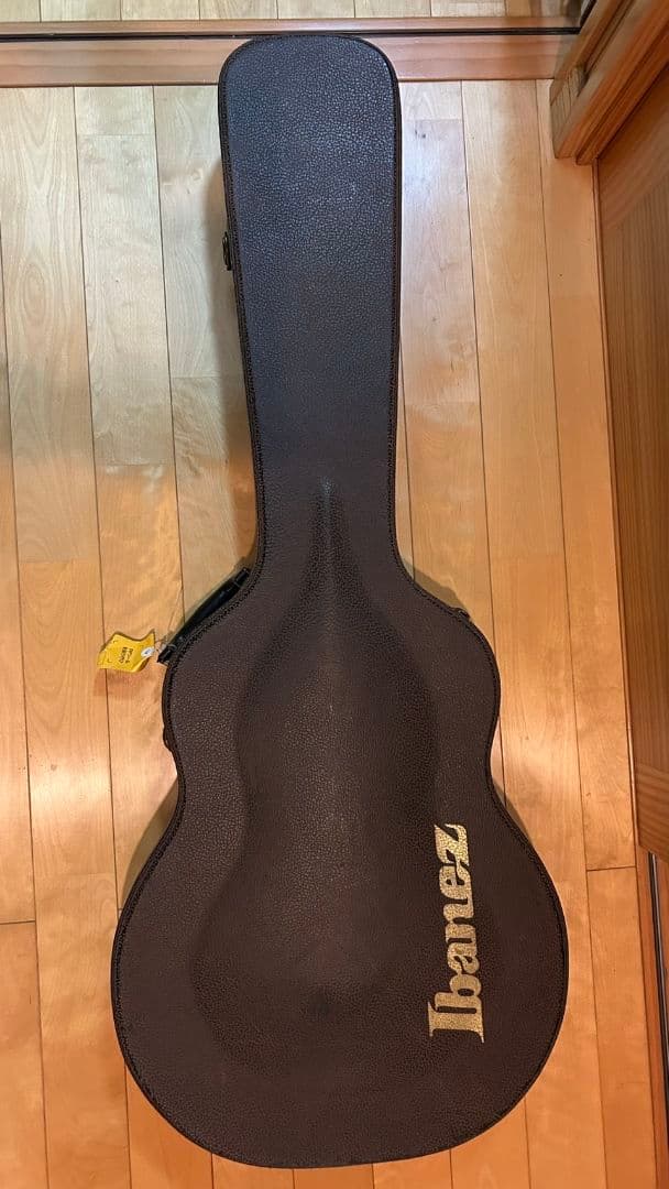 【激レア】Ibanez ASV100DG BKL セミアコ