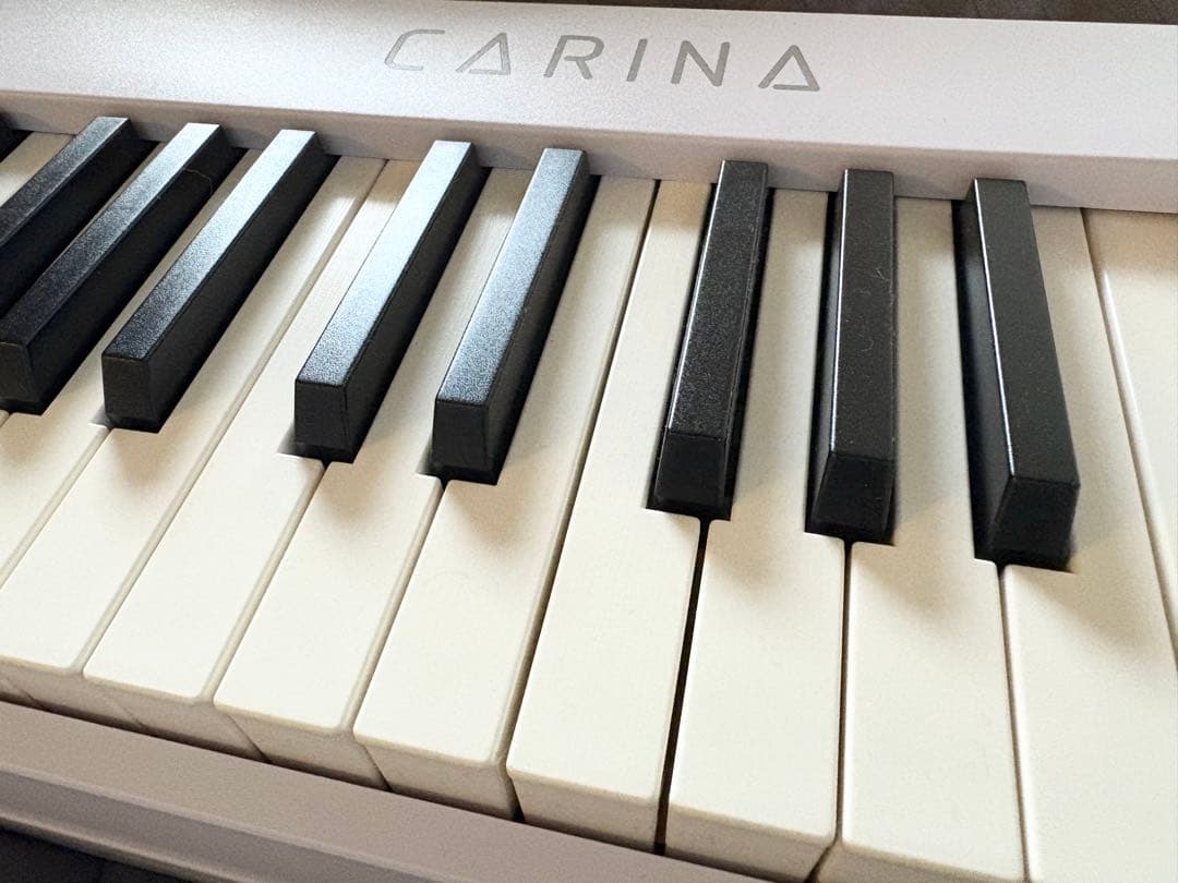 CARINA 88鍵電子ピアノ　送料込み