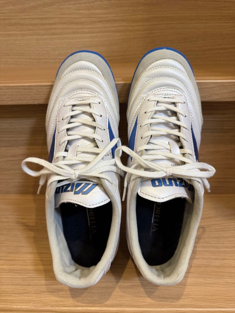 ミズノ モレリア SALA PRO TF