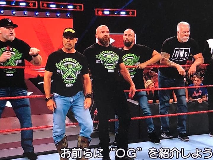 nWo(ホーガン、ナッシュ、ホール) ジャックスWWE フィギュア