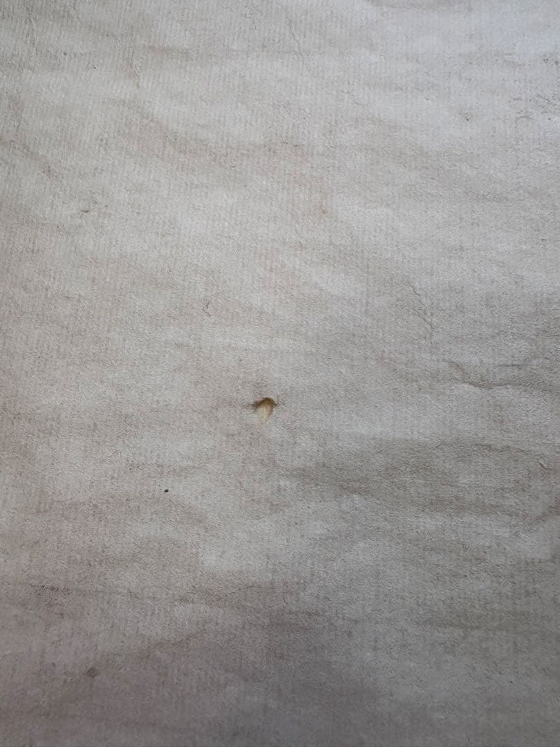 菩薩像　水墨画　仏画　日本画　美術品