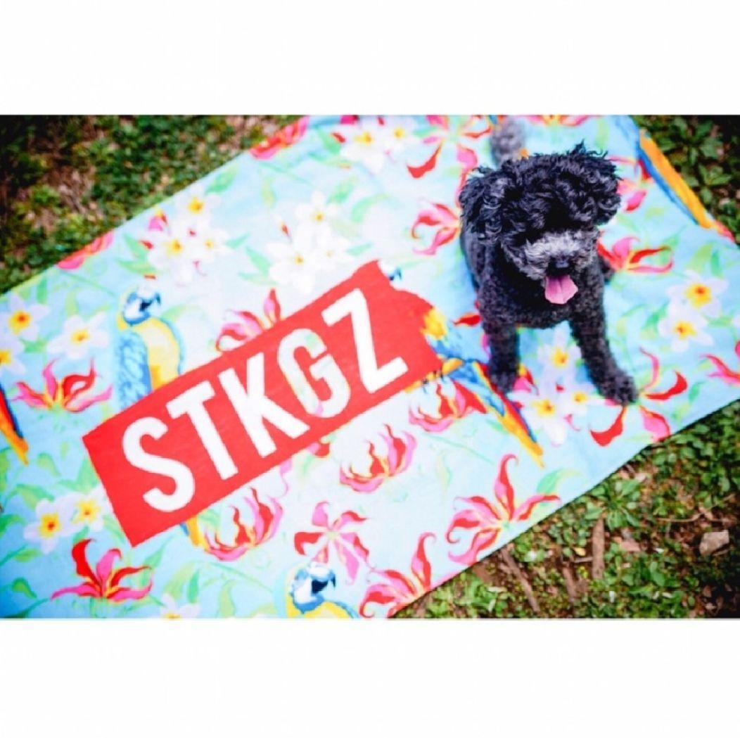 s**t kingz シットキングス　特大リゾートビーチタオル　新品未使用