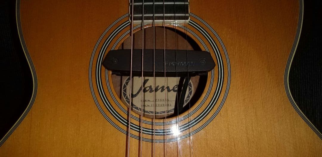 アコースティックギター James JF350 ハードケース、ピックアップ付