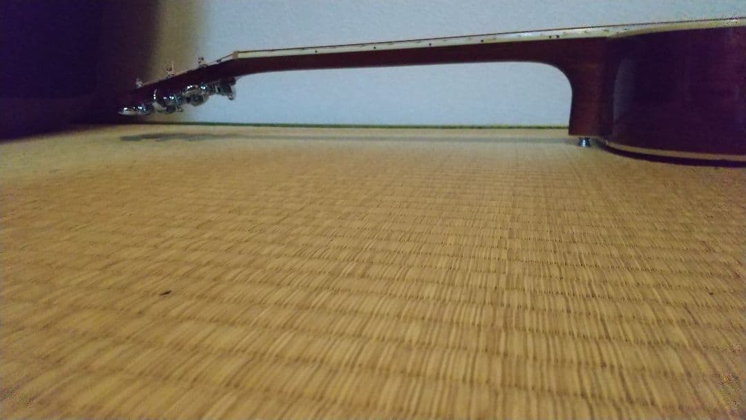 アコースティックギター James JF350 ハードケース、ピックアップ付