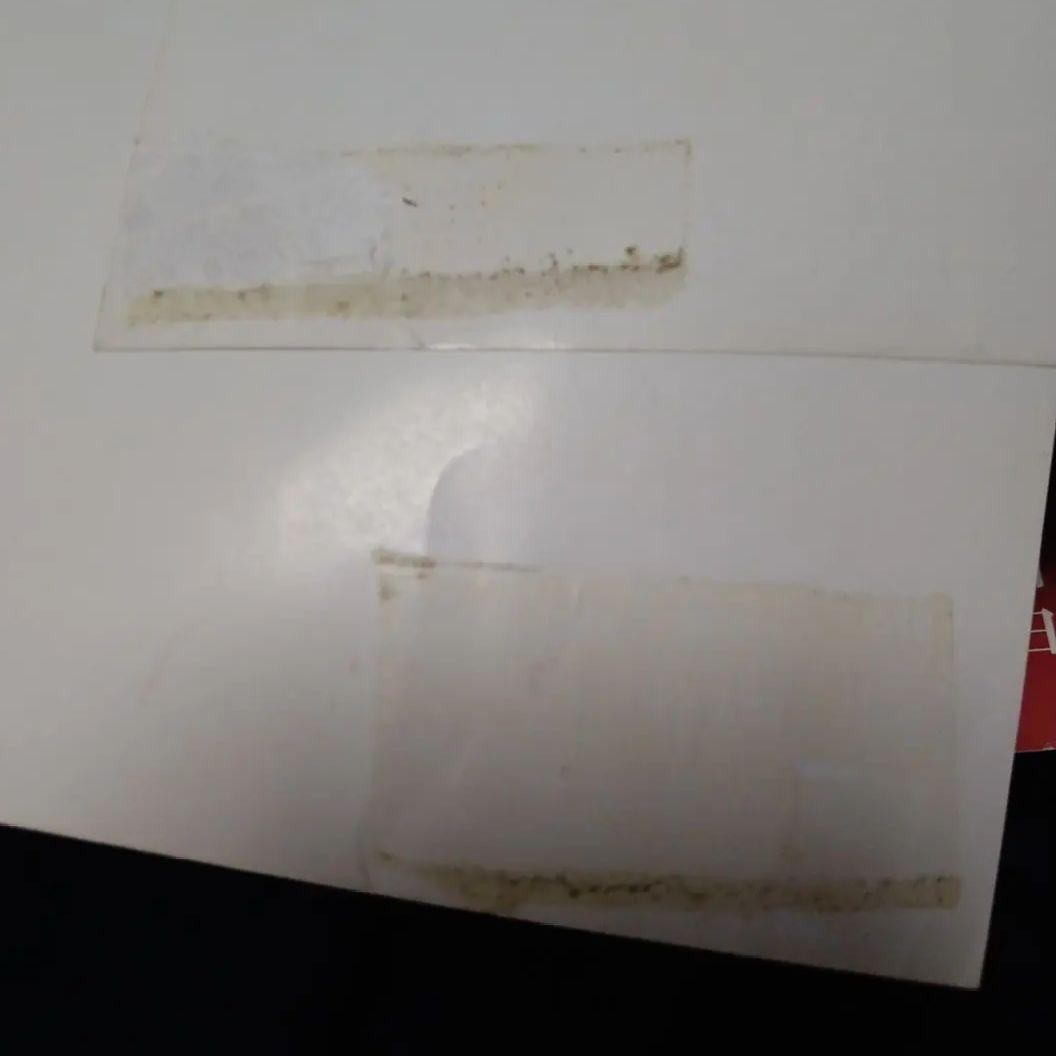 己龍 アナザーサイド ポスター V系 ヴィジュアル系