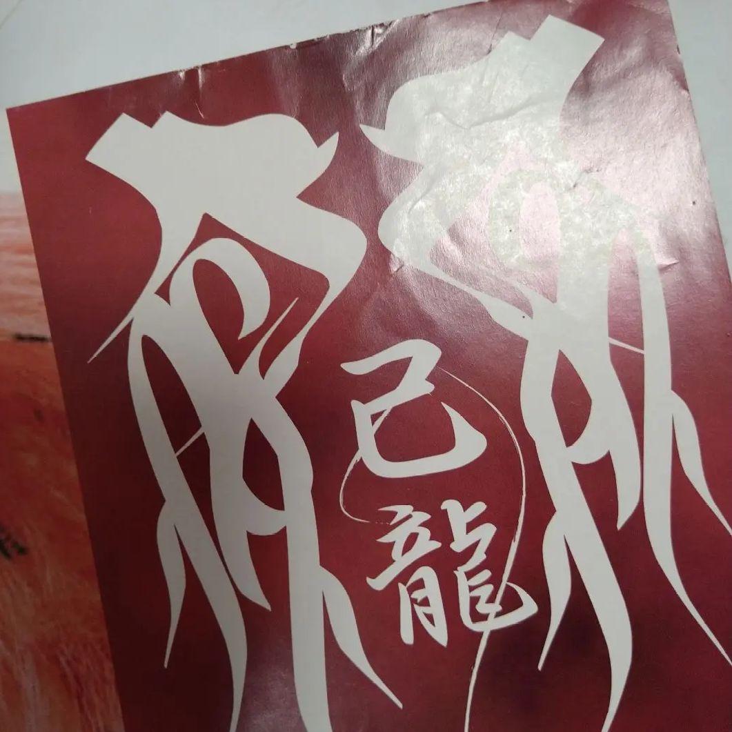 己龍 アナザーサイド ポスター V系 ヴィジュアル系