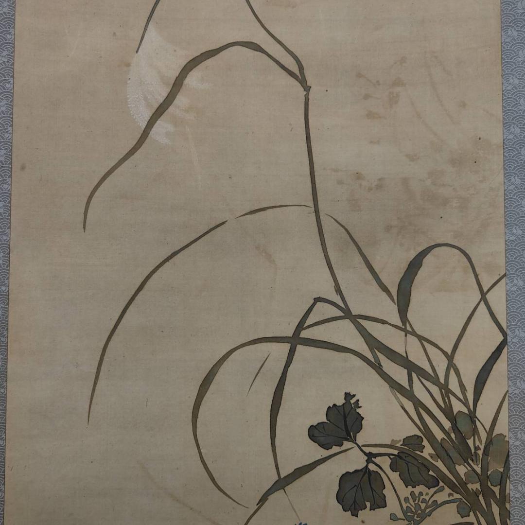 真作/芳翠/秋草鴛鴦図/オシドリ/花鳥/布袋屋掛軸A-519