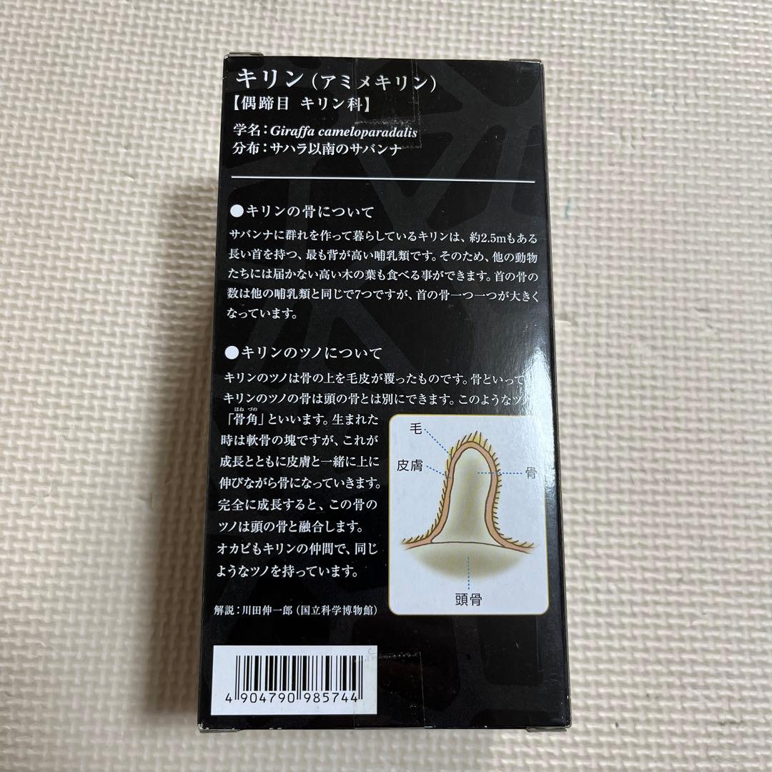 ツノのある動物図鑑　キリン　BOX 国立科学博物館