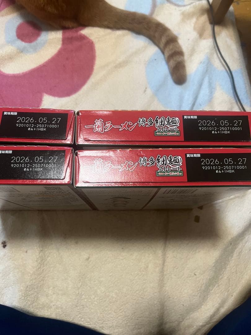 一蘭 ラーメン 5食入り　4箱