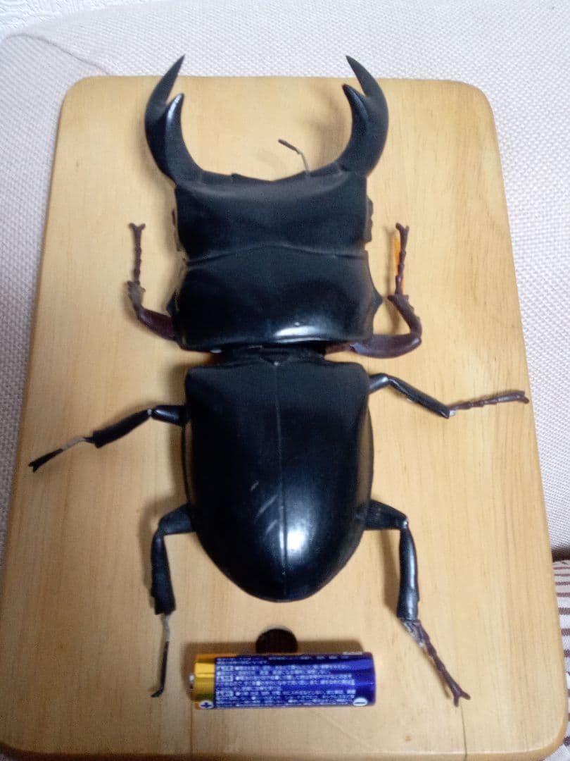 インドアンタエウス、クワガタフィギュア