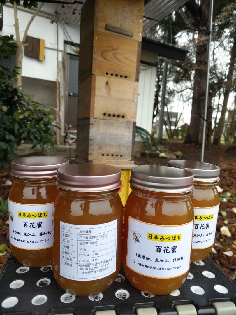 「緑」新蜜　日本ミツバチの百花蜜（1年物）　550ｇ✕4本（2.2Kｇ）