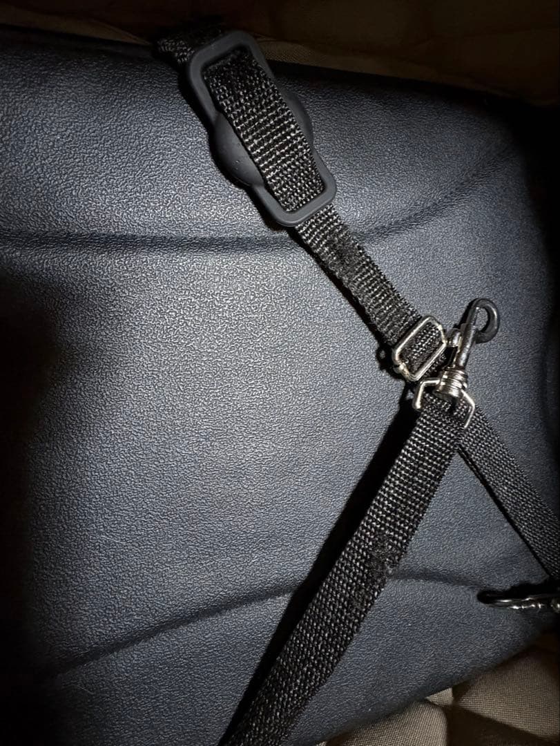 エアバギー　ウィズX