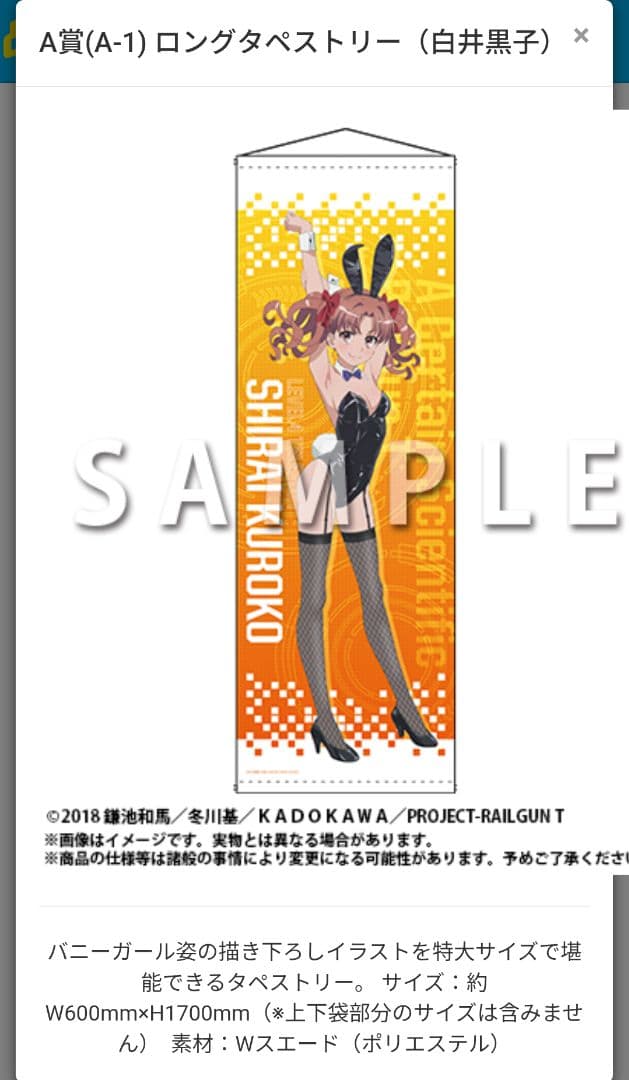 『とある科学の超電磁砲T』オンラインくじ 2024 白井黒子 タペストリー