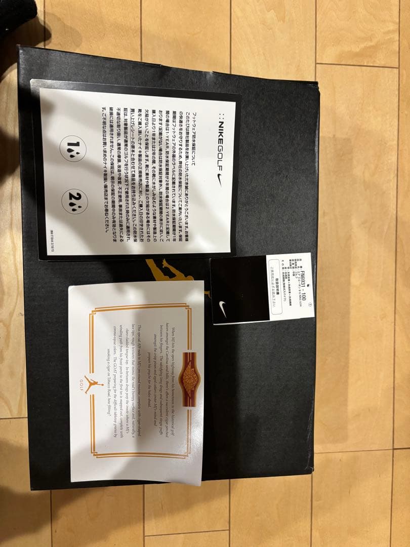 ナイキ エアジョーダン9 ゴルフ NRG