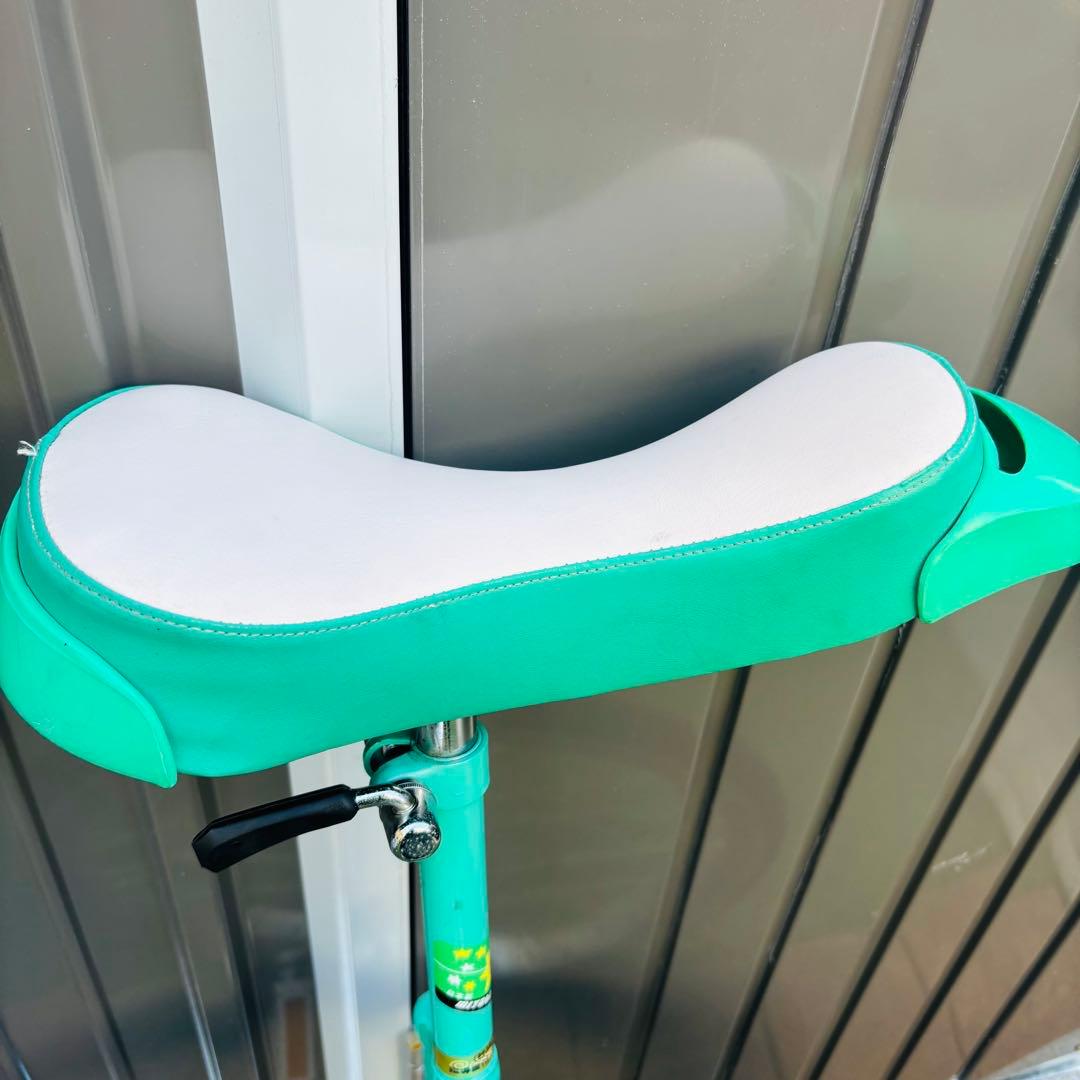 MIYATA FLAMINGO 一輪車 24インチ