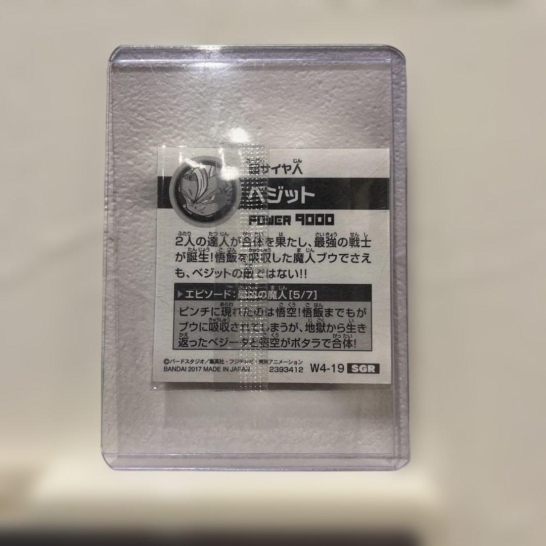 ドラゴンボール シールウエハース＋ファイル　W4-06 W4-19 SGR