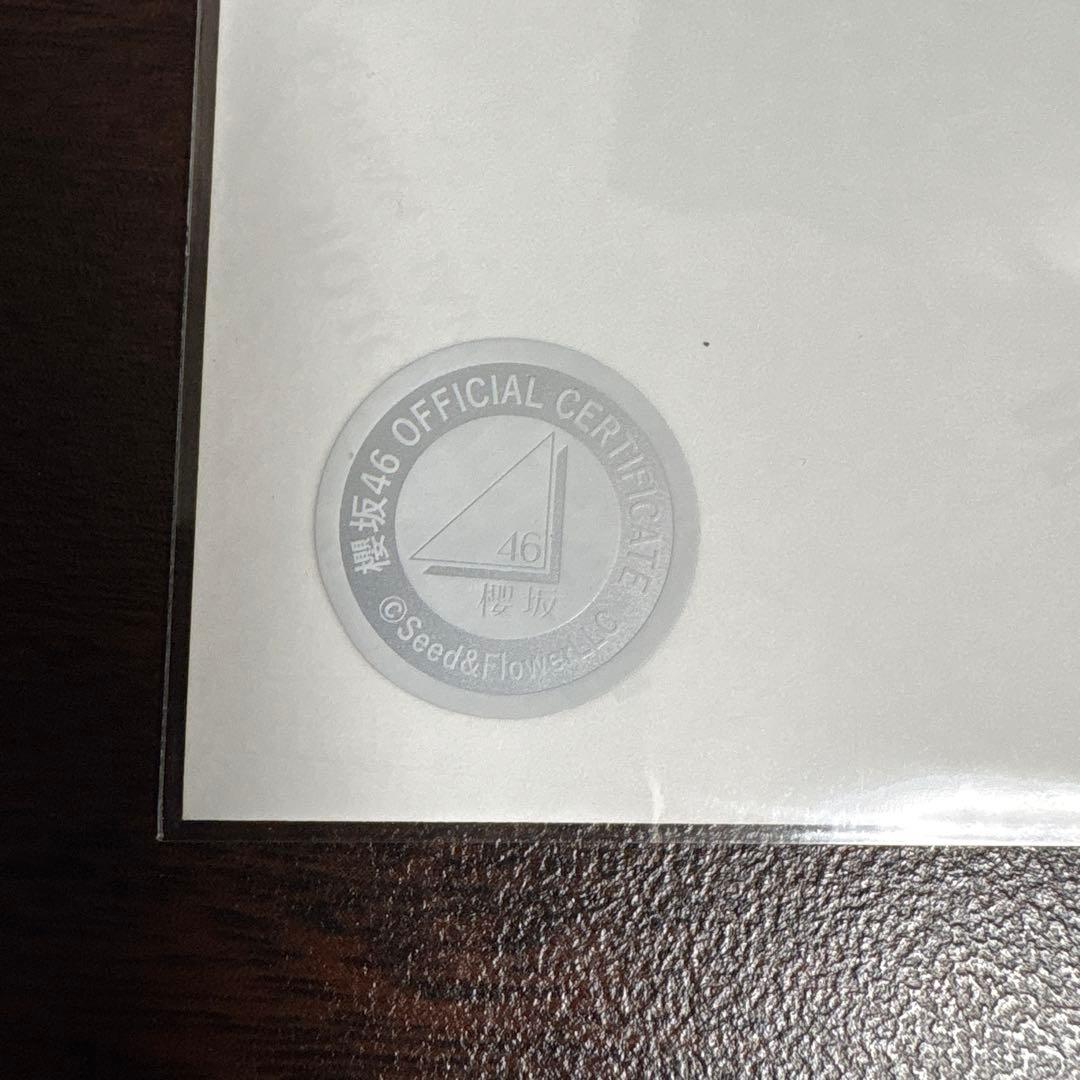 森田ひかる 櫻坂46 2025 サンタ 直筆 サイン 生写真