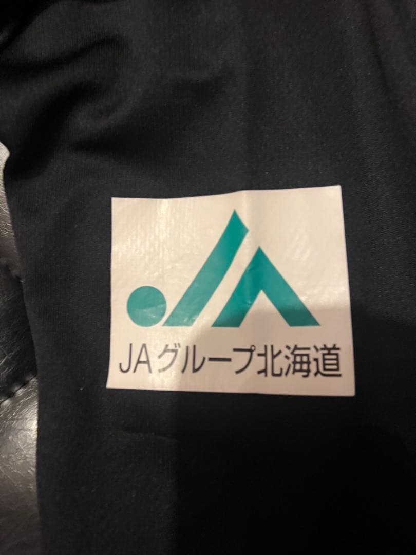 コンサ　コンサドーレ札幌　ウェア上下セット　練習着　選手着用コンサミズノ