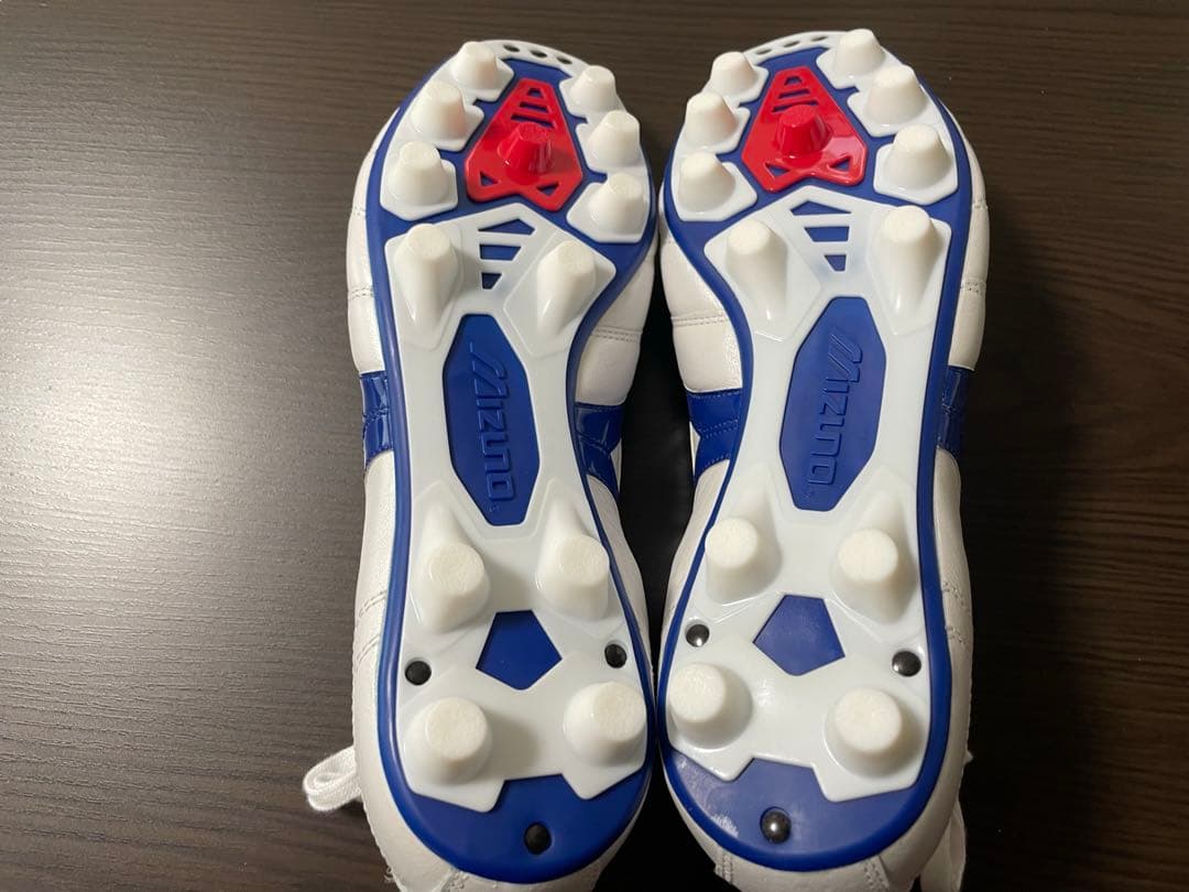 【限定カラー】モレリア2JAPAN