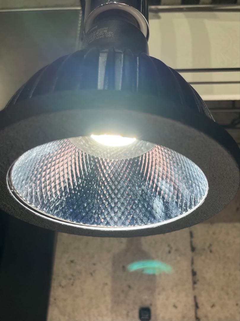 barrel ネオアマテラス　ヘリオスグリーン(ジャンク)セット　20W LED